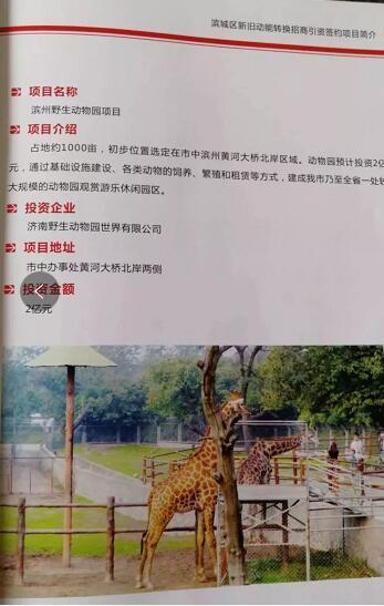 厲害了我的大濱州，15個招商引資項目集中簽約！